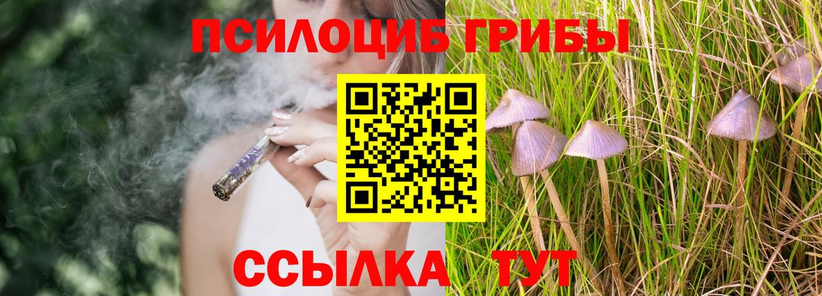 Галлюциногенные грибы ЛСД  Вход с VPN  Новороссийск 