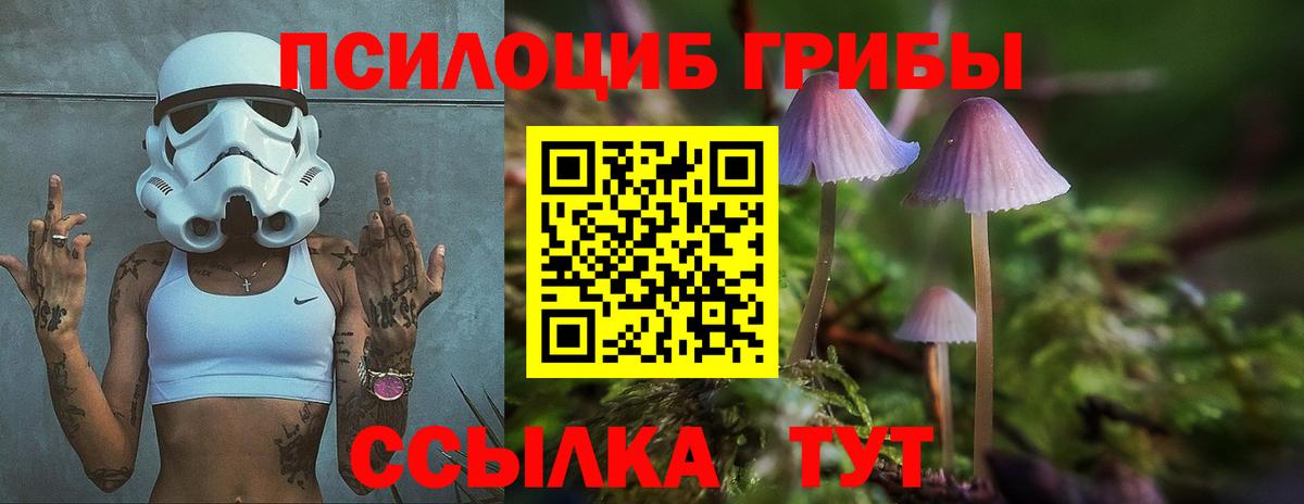 Галлюциногенные грибы Psilocybe Новороссийск